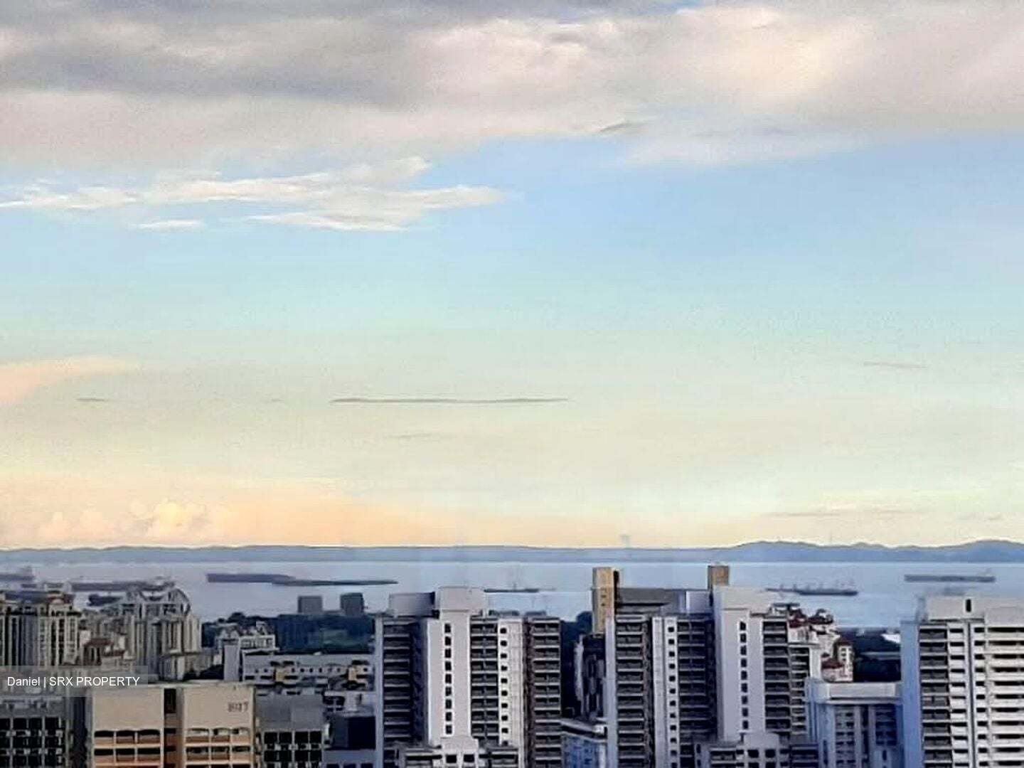 Sturdee Residences (D8), Condominium #626995801